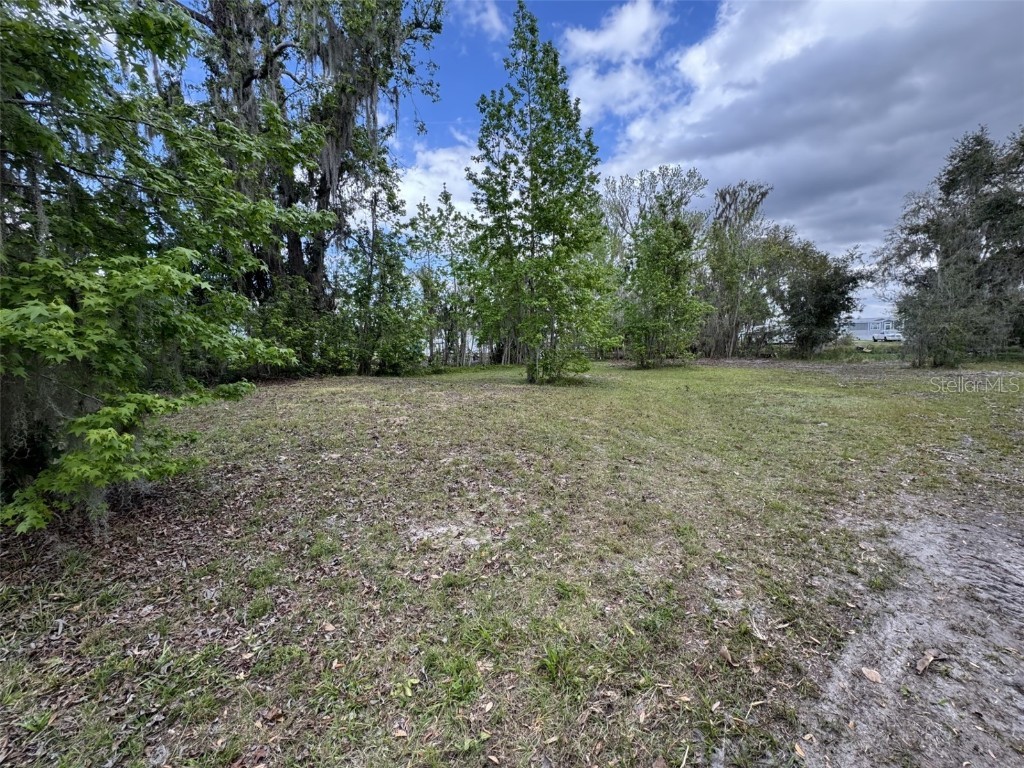 5011 Pineapple Street Lake Wales FL 33898 - LAKE WALK IN WATER P4933796 image15