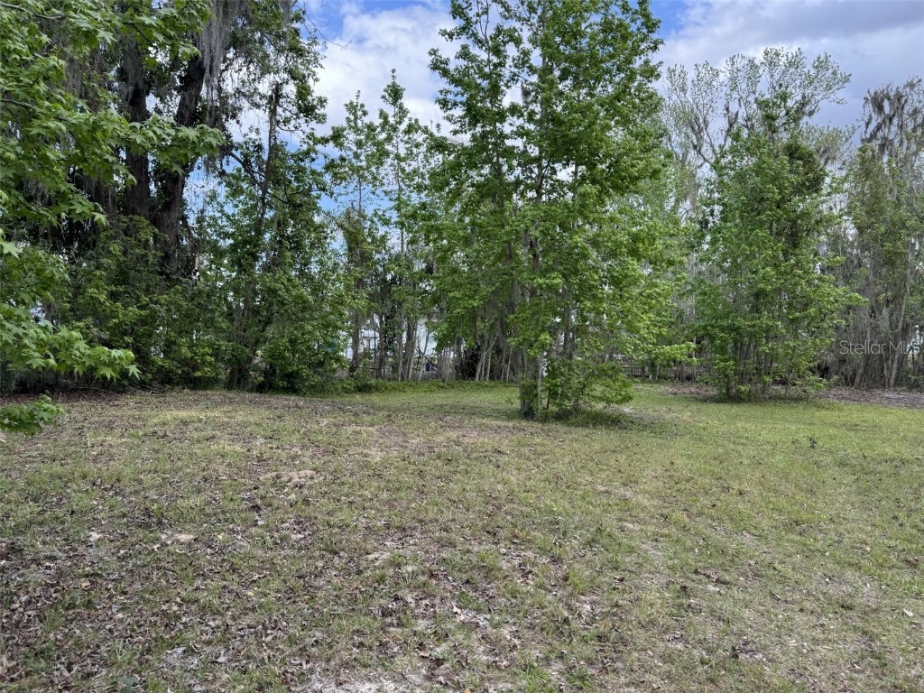 5011 Pineapple Street Lake Wales FL 33898 - LAKE WALK IN WATER P4933796 image16