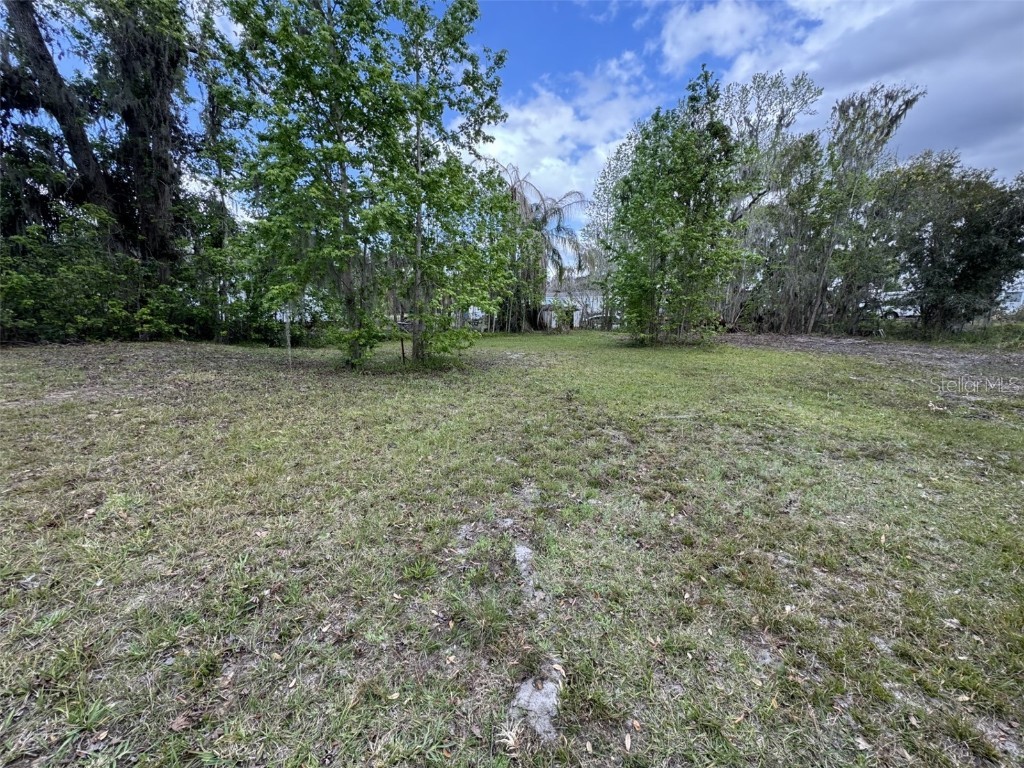 5011 Pineapple Street Lake Wales FL 33898 - LAKE WALK IN WATER P4933796 image18