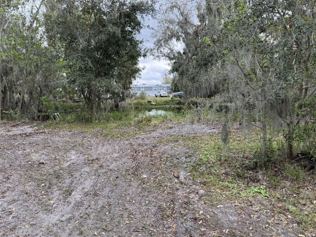 5011 Pineapple Street Lake Wales FL 33898 - LAKE WALK IN WATER P4933796 image19