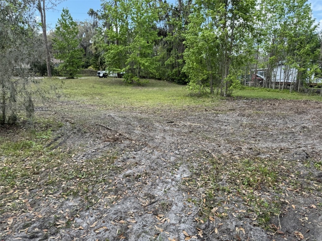 5011 Pineapple Street Lake Wales FL 33898 - LAKE WALK IN WATER P4933796 image20