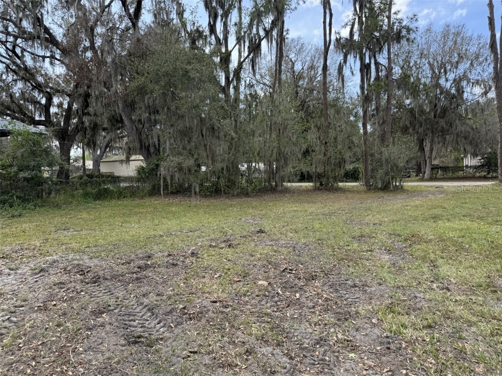 5011 Pineapple Street Lake Wales FL 33898 - LAKE WALK IN WATER P4933796 image21