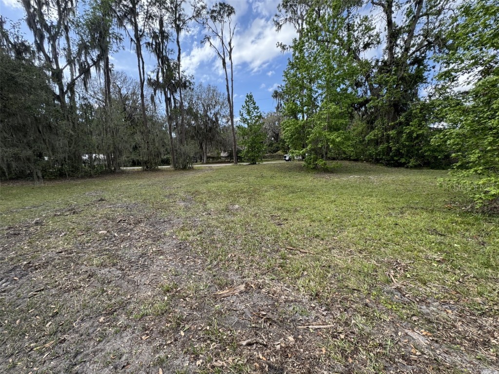 5011 Pineapple Street Lake Wales FL 33898 - LAKE WALK IN WATER P4933796 image22