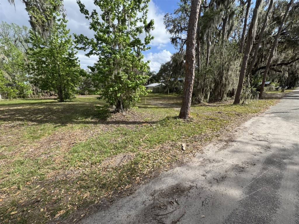 5011 Pineapple Street Lake Wales FL 33898 - LAKE WALK IN WATER P4933796 image24