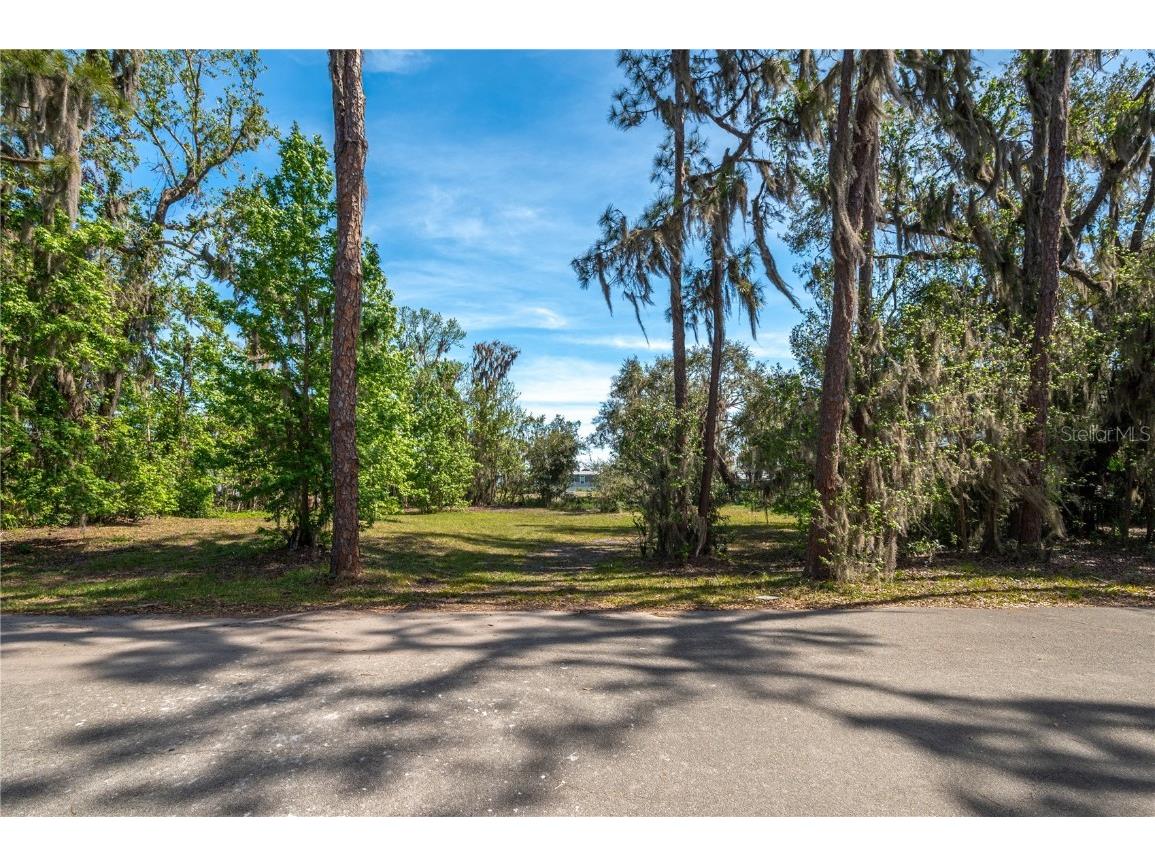 5011 Pineapple Street Lake Wales FL 33898 - LAKE WALK IN WATER P4933796 image29