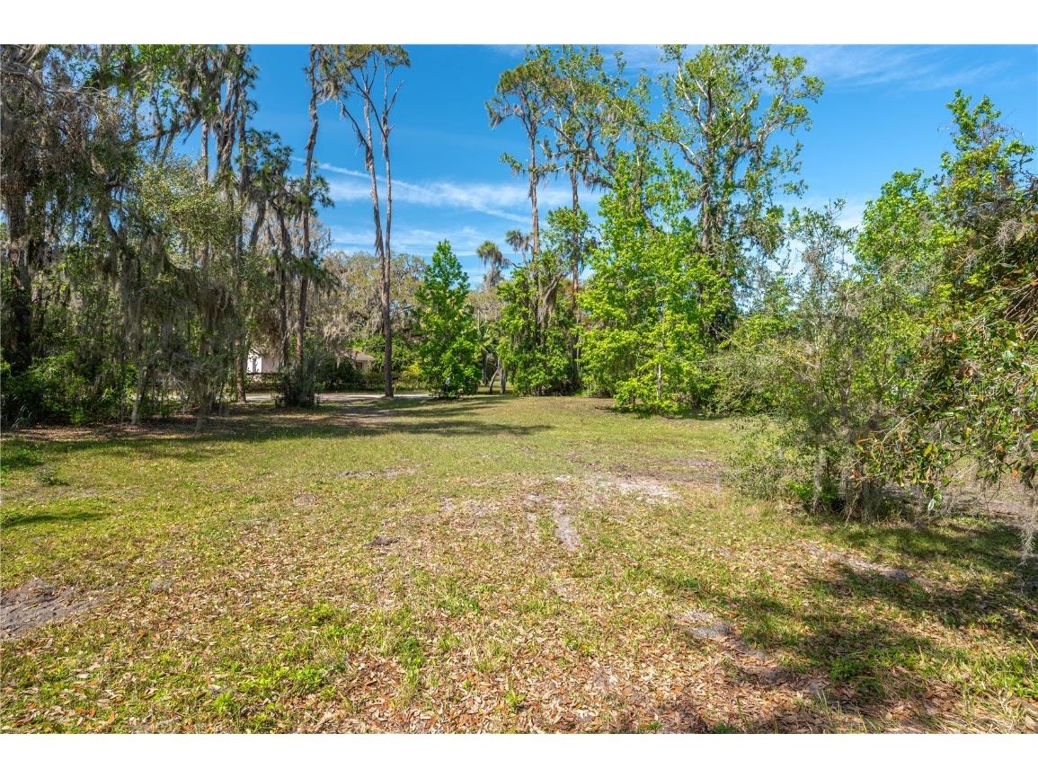 5011 Pineapple Street Lake Wales FL 33898 - LAKE WALK IN WATER P4933796 image31