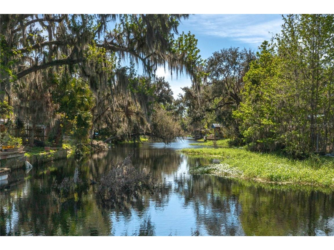 5011 Pineapple Street Lake Wales FL 33898 - LAKE WALK IN WATER P4933796 image7