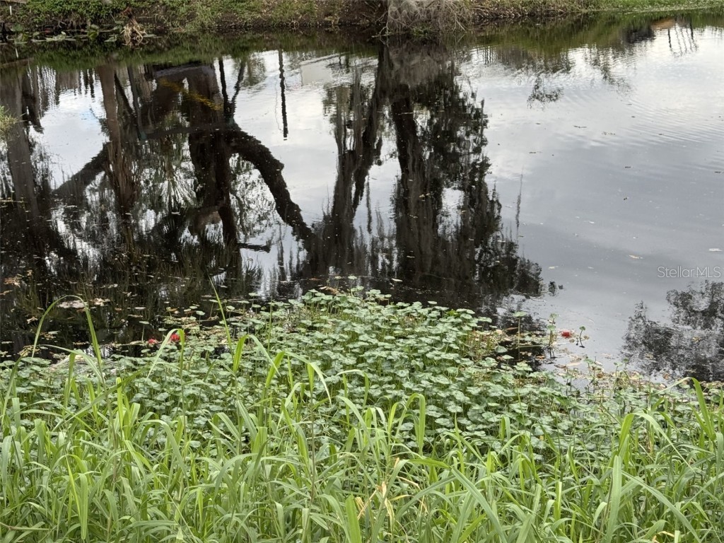 5011 Pineapple Street Lake Wales FL 33898 - LAKE WALK IN WATER P4933796 image9