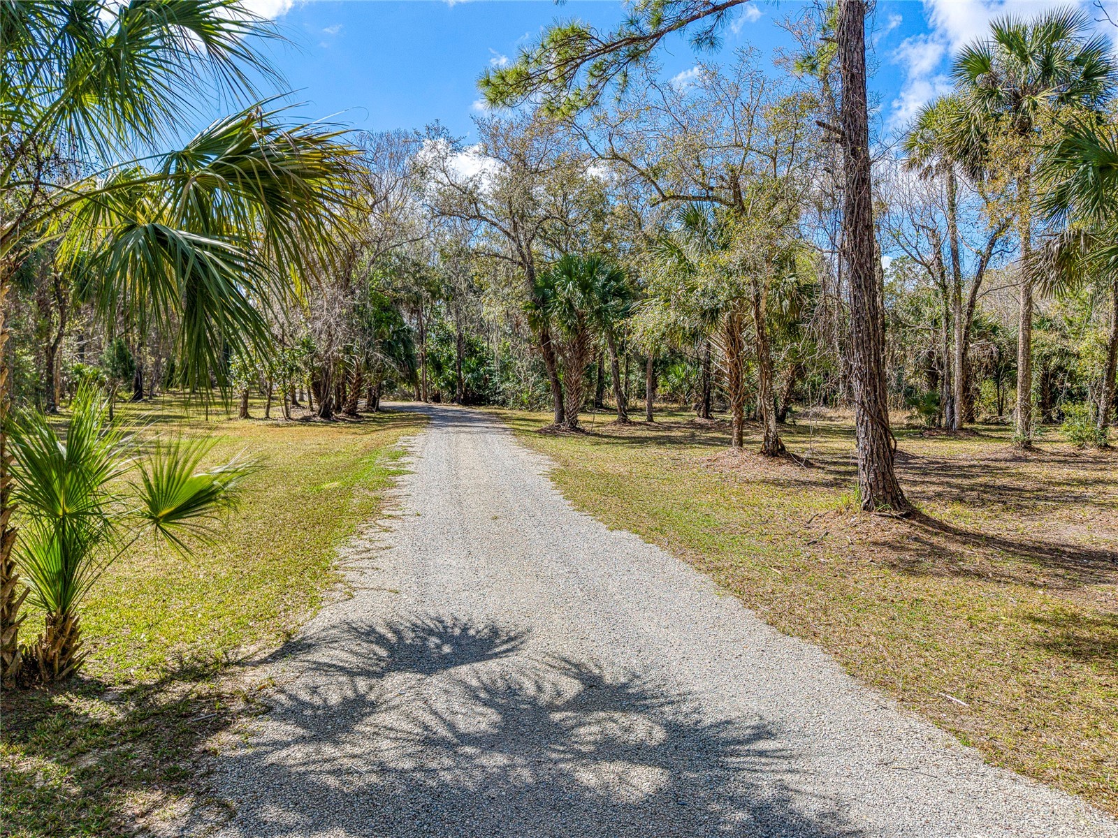 5011 SE 193rd Place Inglis FL 34449 O6390433 image10