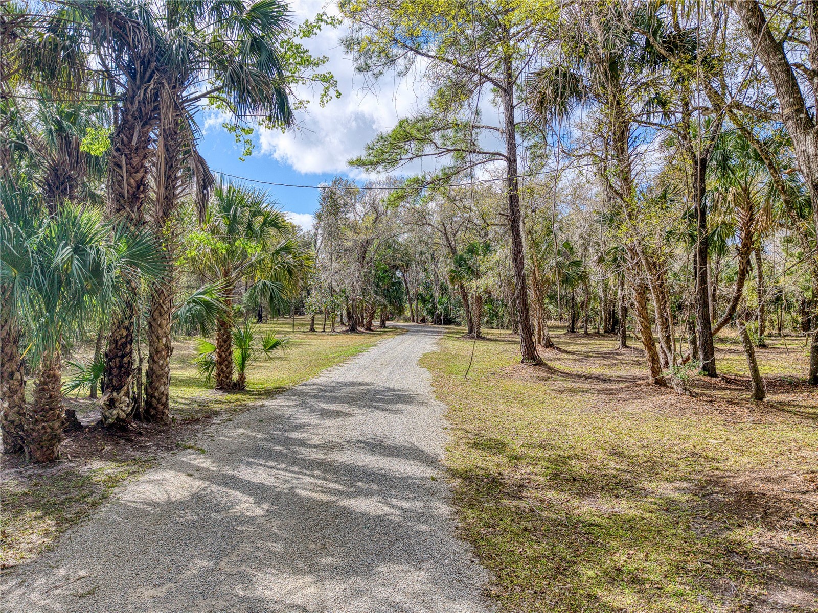 5011 SE 193rd Place Inglis FL 34449 O6390433 image11