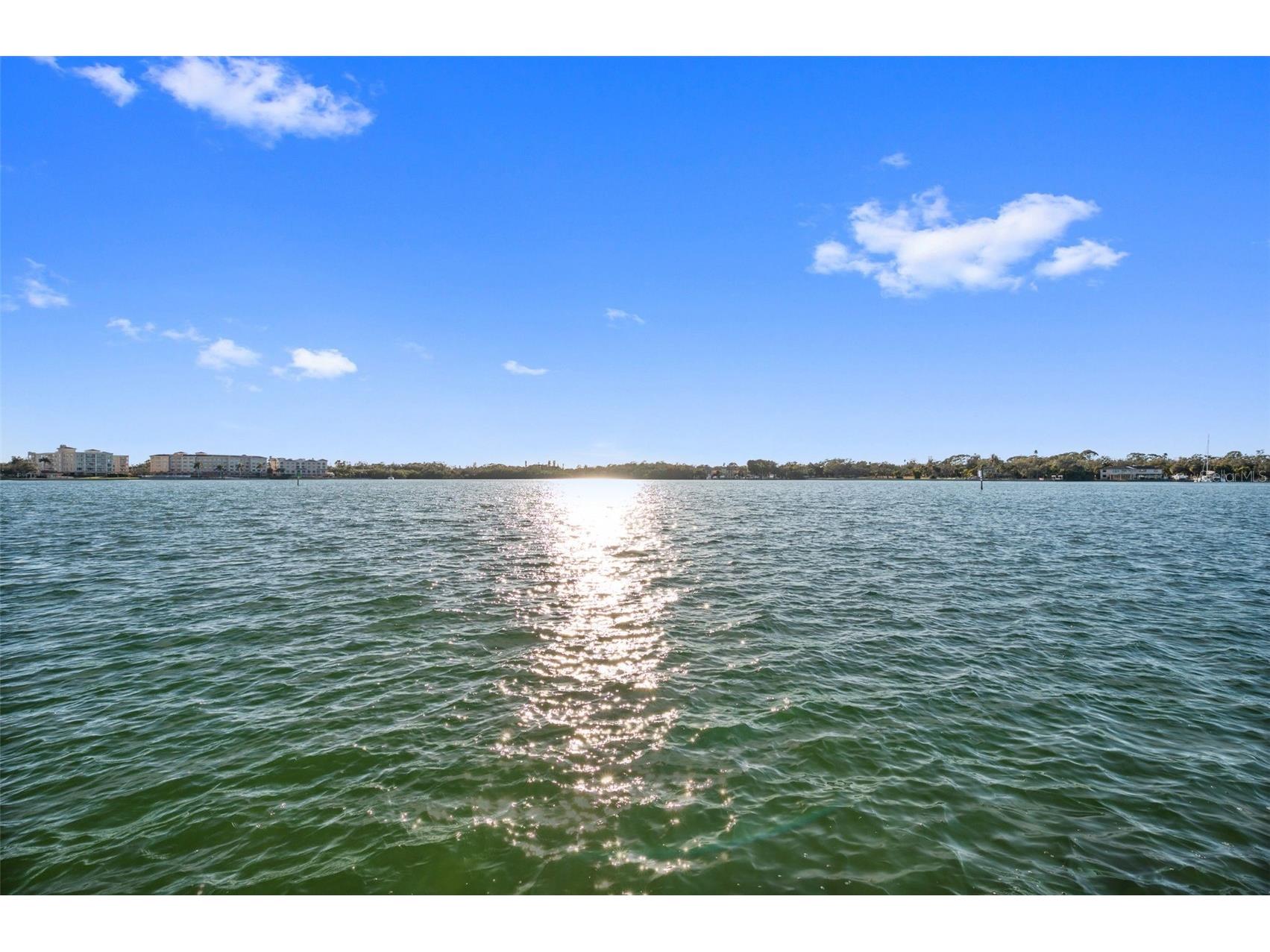 5011 Starfish Drive SE #D Saint Petersburg FL 33705 TB8473660 image43