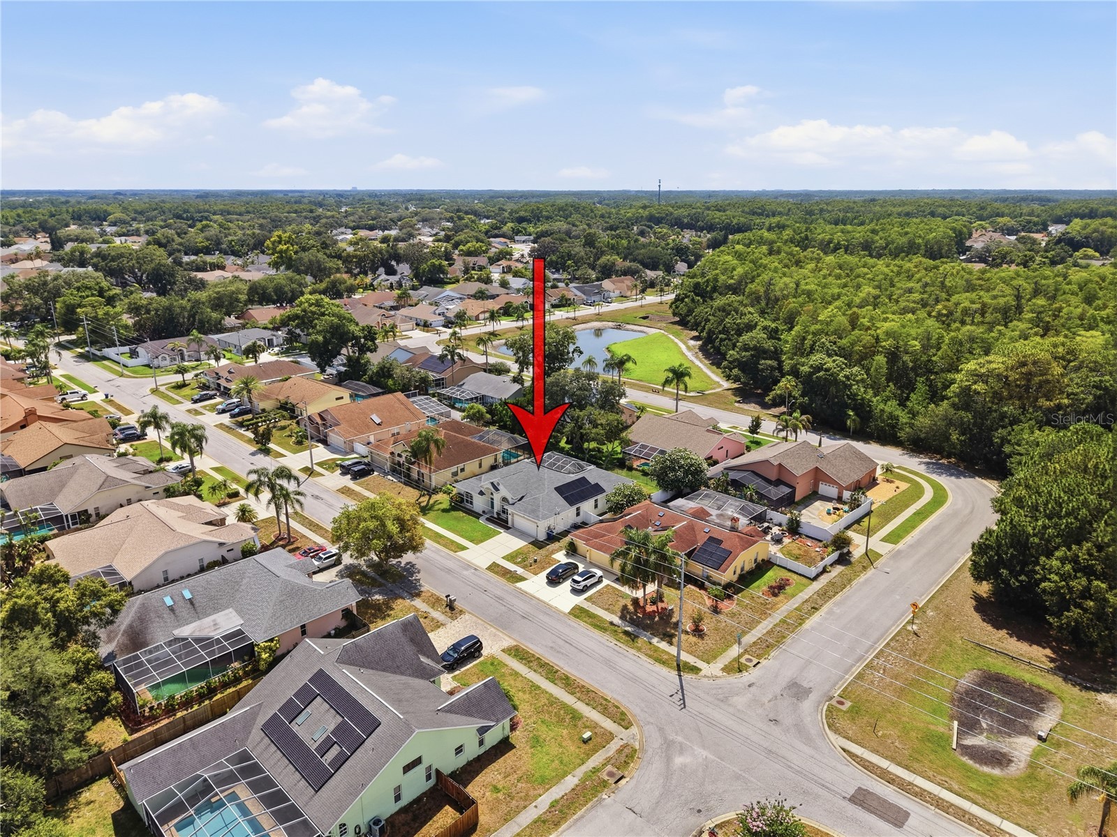 5013 Deer Lodge Road New Port Richey FL 34655 W7887212 image26
