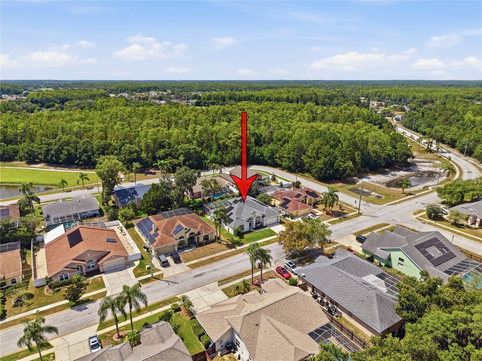 5013 Deer Lodge Road New Port Richey FL 34655 W7887212 image27