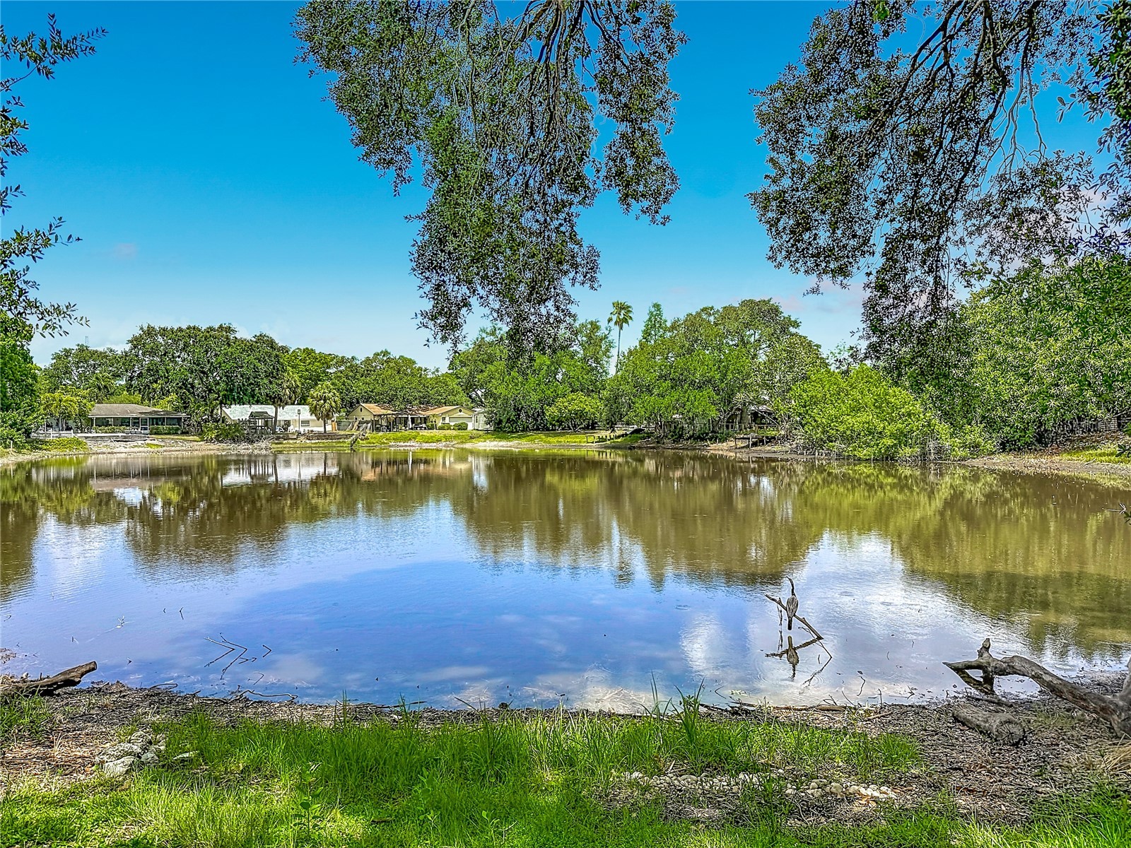 5013 S Hesperides Street Tampa FL 33611 TB8512529 image55