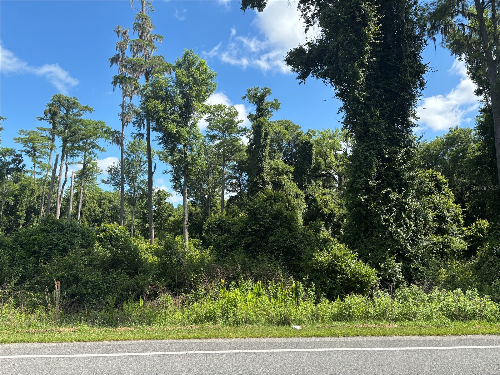 5014 Mahogany Boulevard Bunnell FL 32110 FC318748 image1