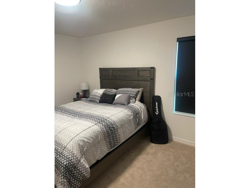 5014 Royal Point Avenue Kissimmee FL 34746 O6293915 image10