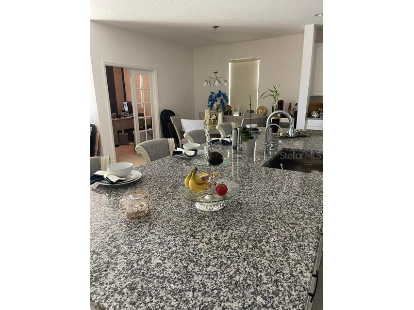 5014 Royal Point Avenue Kissimmee FL 34746 O6293915 image4