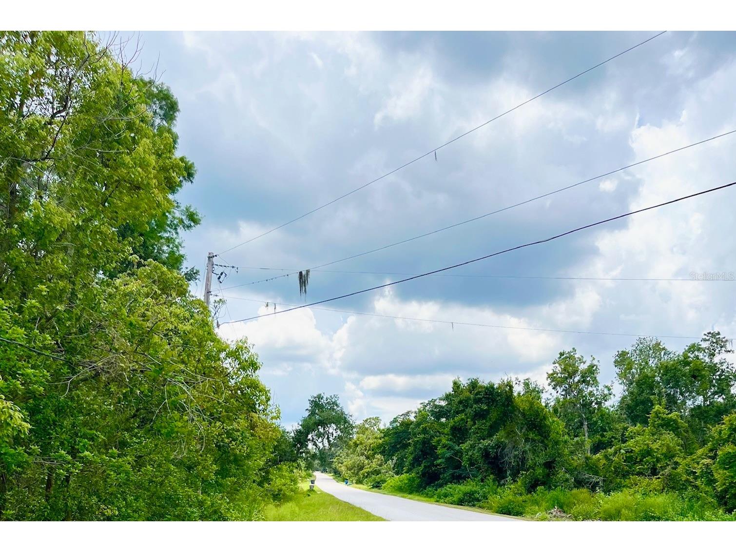 5015 Bonita Drive Wimauma FL 33598 - DUG CREEK A4658177 image1