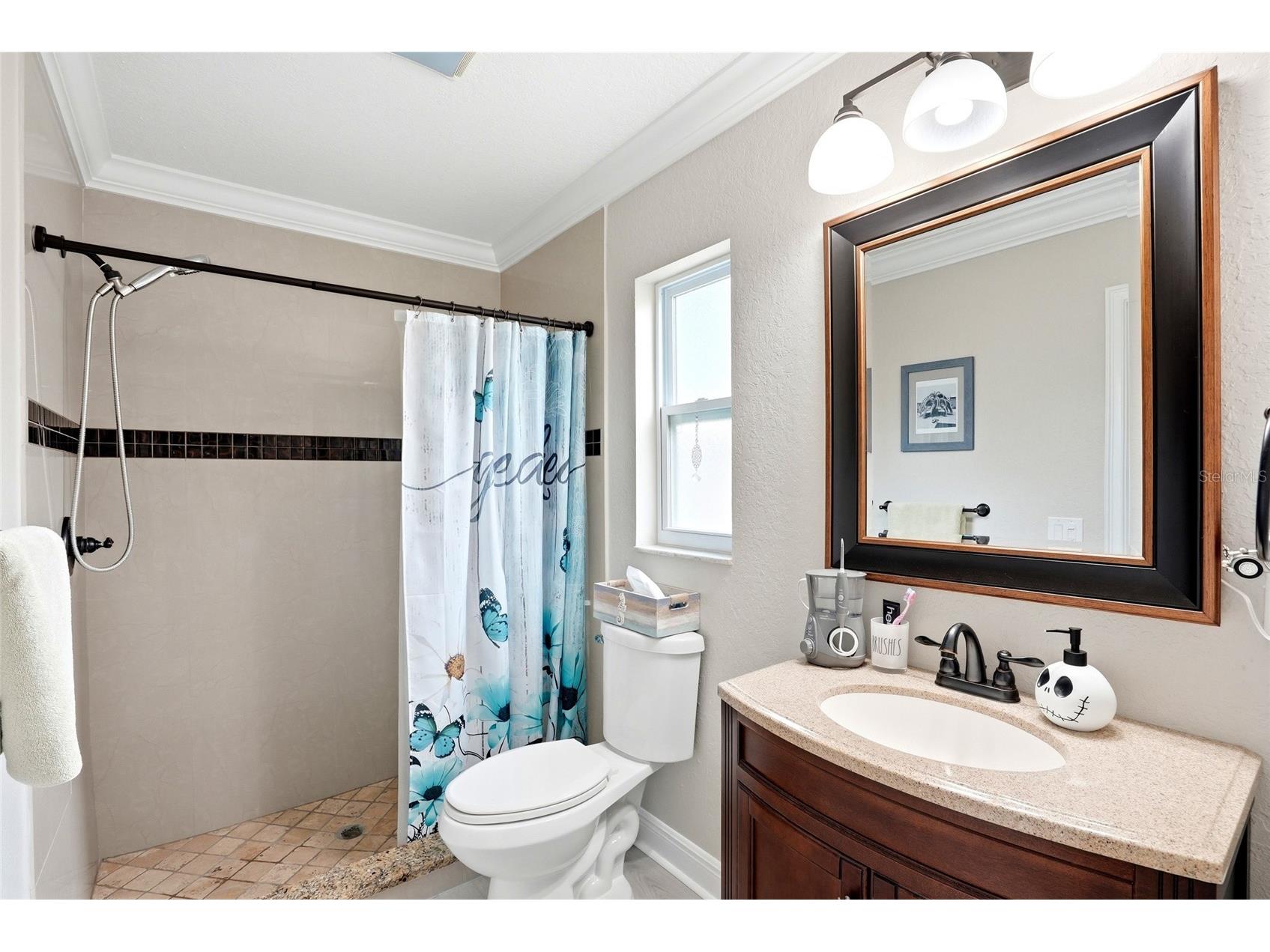 5015 Bridgeport Drive Safety Harbor FL 34695 TB8508567 image19