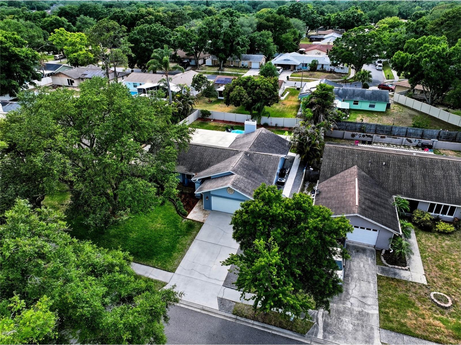 5015 Bridgeport Drive Safety Harbor FL 34695 TB8508567 image35