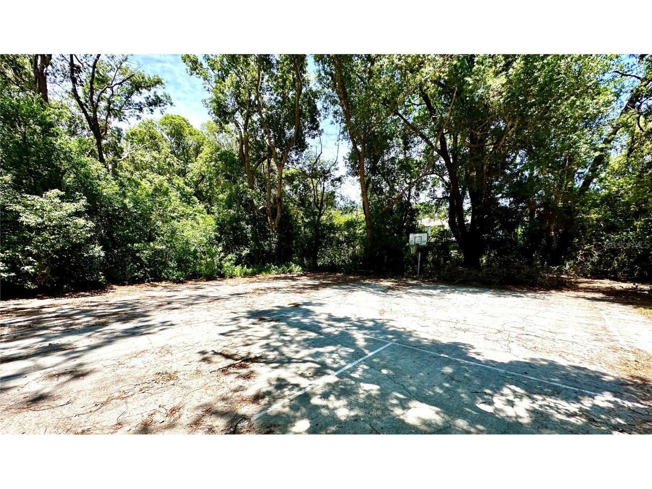 5015 Darlington Road Holiday FL 34690 TB8418059 image25