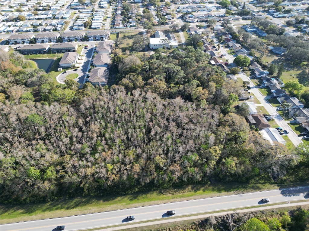 5015 Darlington Road Holiday FL 34690 TB8418059 image54