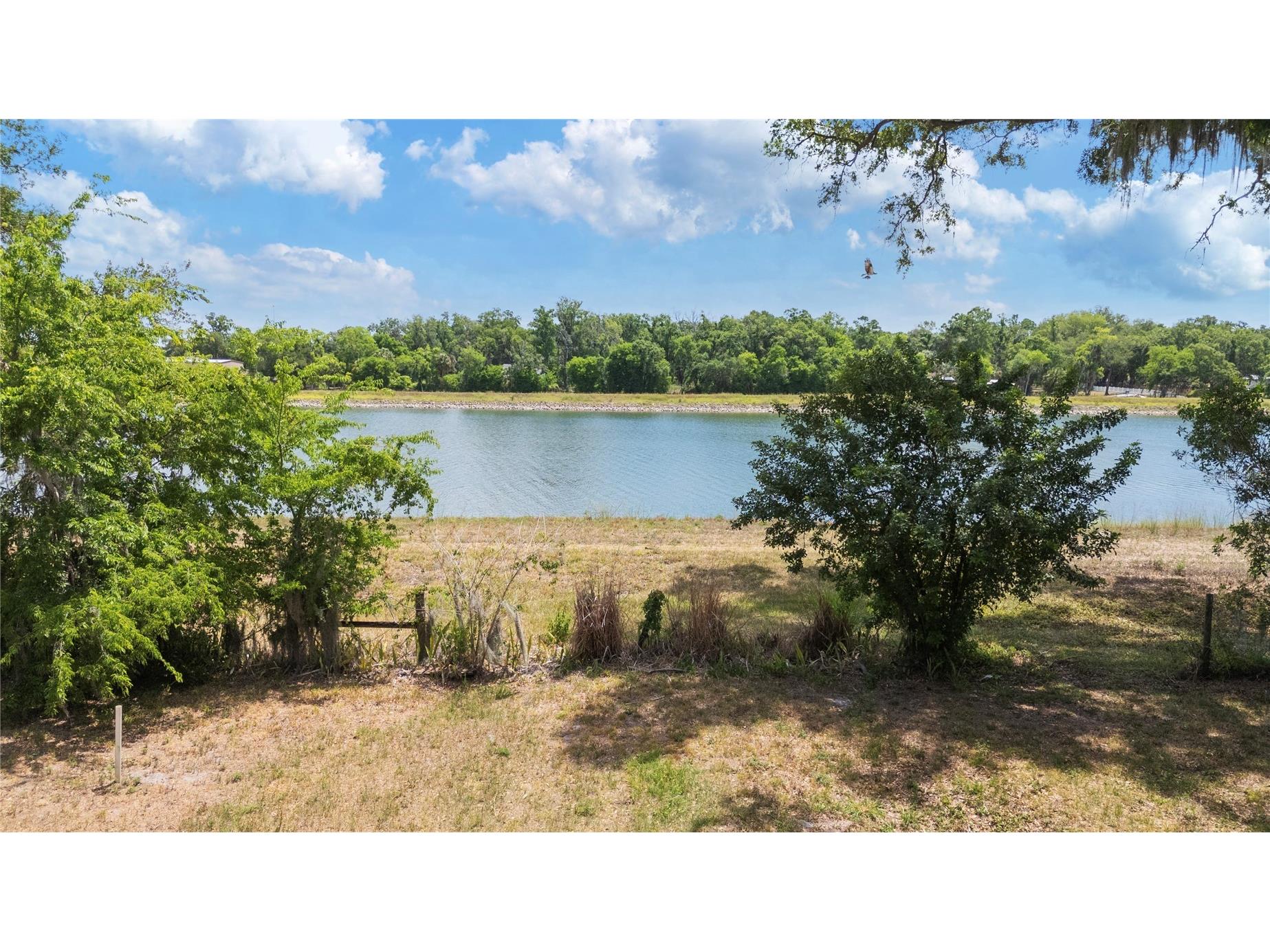 5015 Garden Lane Tampa FL 33610 TB8505369 image17