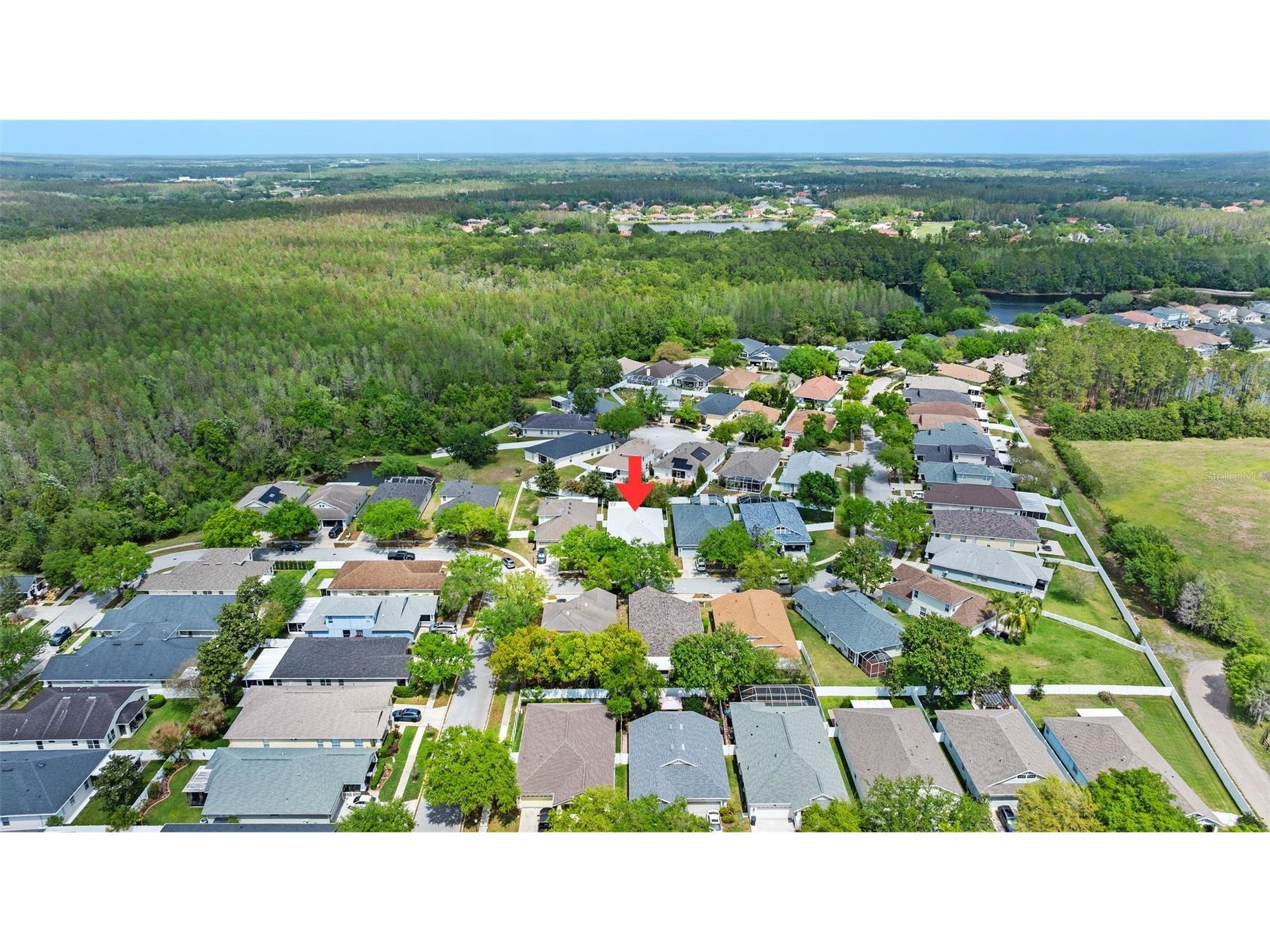 5015 Sky Blue Drive Lutz FL 33558 TB8491943 image43