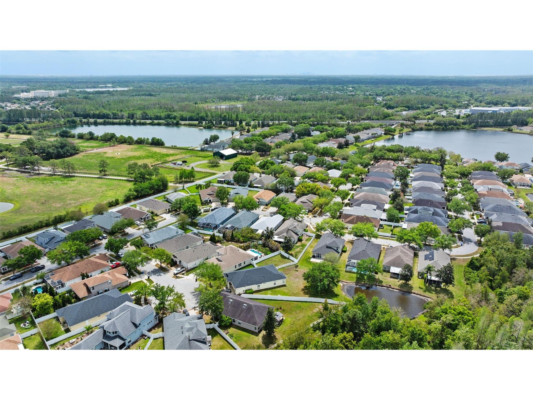 5015 Sky Blue Drive Lutz FL 33558 TB8491943 image44