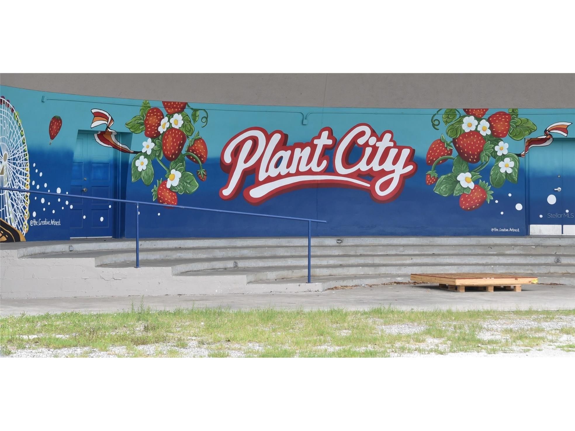 5015 Turkey Creek Road Plant City FL 33567 TB8512052 image64