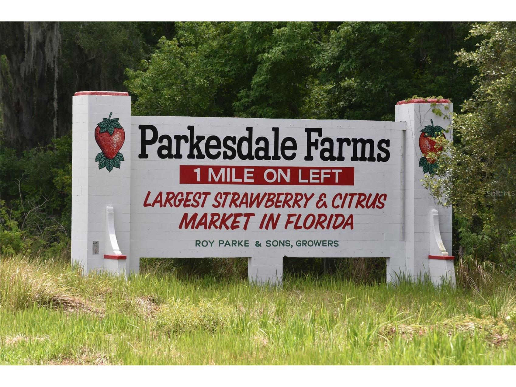 5015 Turkey Creek Road Plant City FL 33567 TB8512052 image71