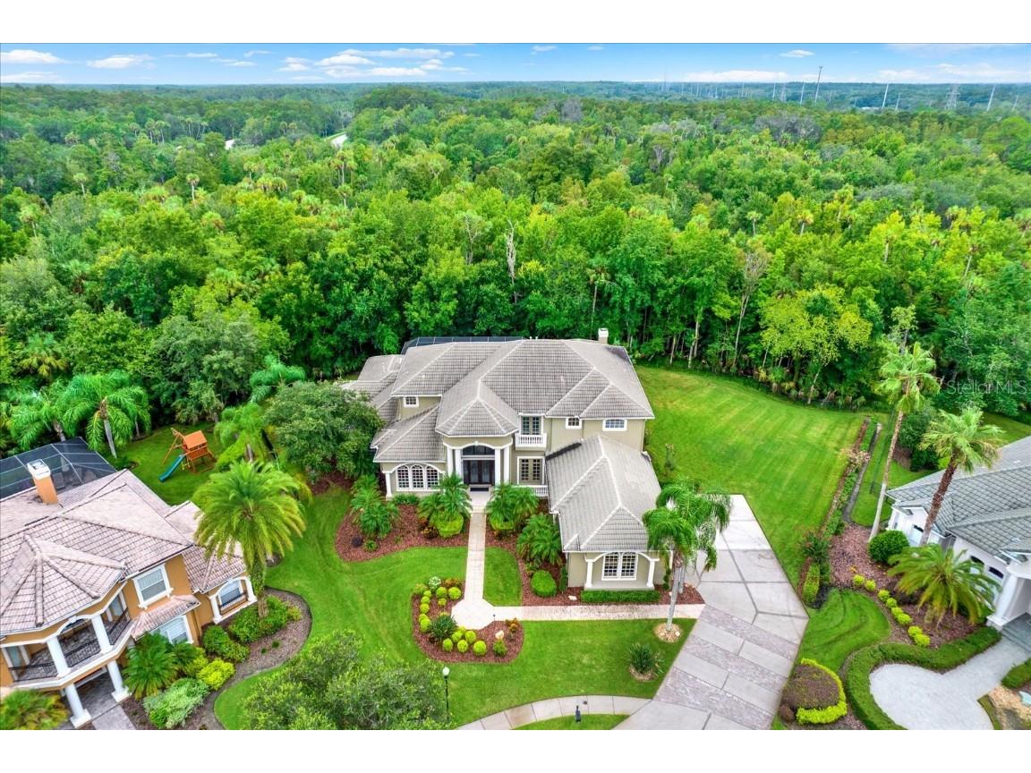 5016 Givendale Lane Tampa FL 33647 T3465715 image6