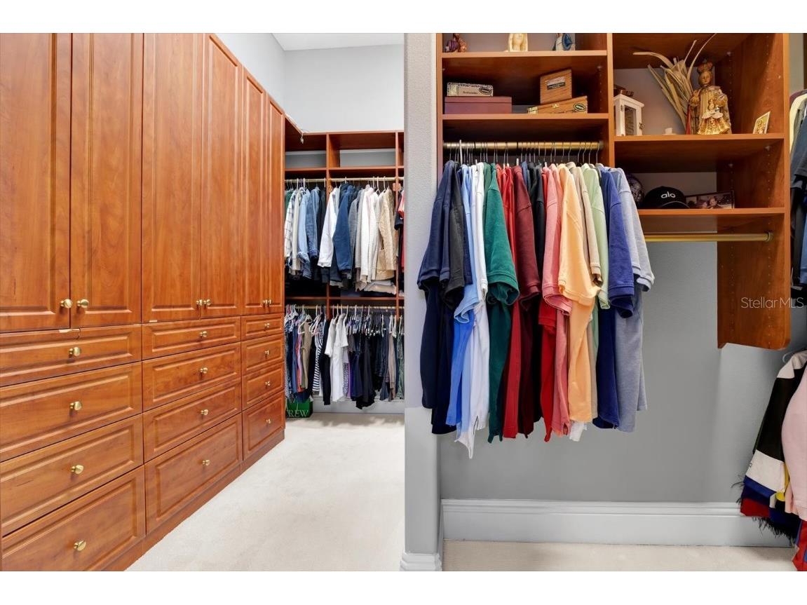 5016 Givendale Lane Tampa FL 33647 T3465715 image69