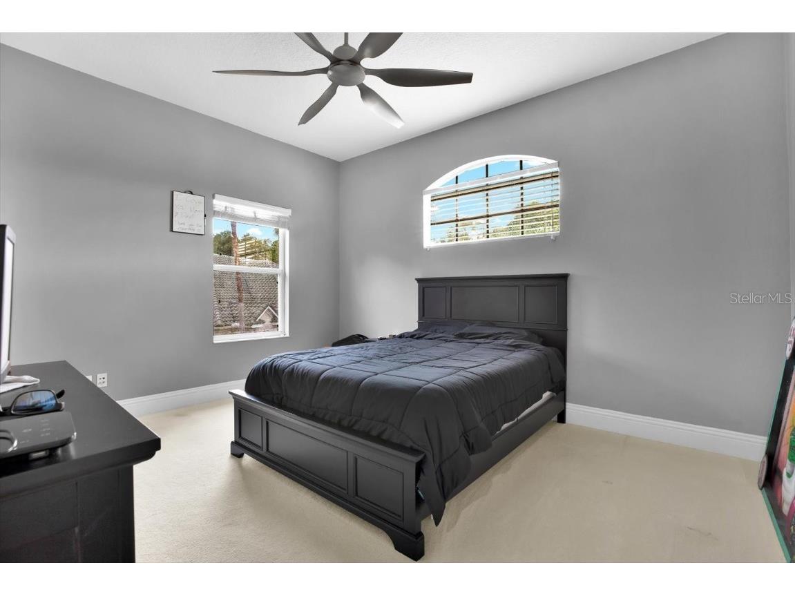 5016 Givendale Lane Tampa FL 33647 T3465715 image78