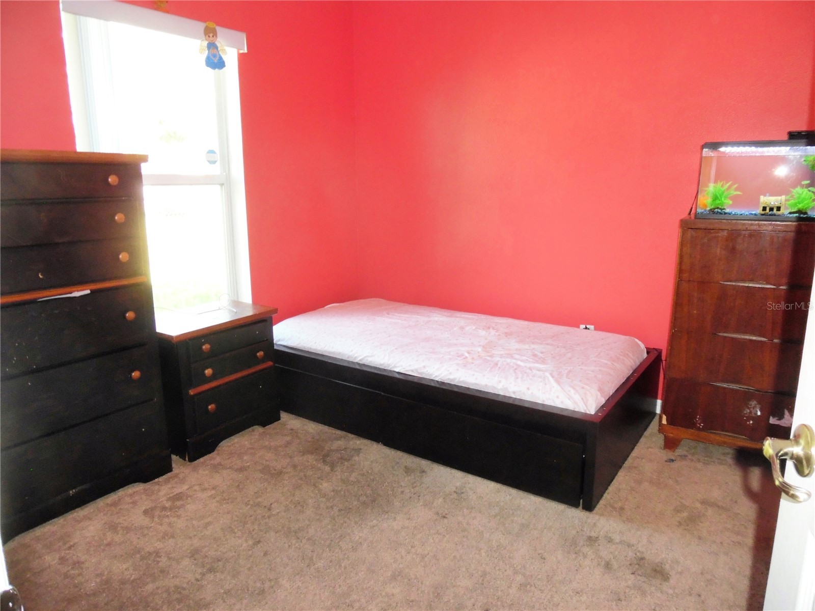 5016 Mcdonald Road Zellwood FL 32798 G5111294 image13