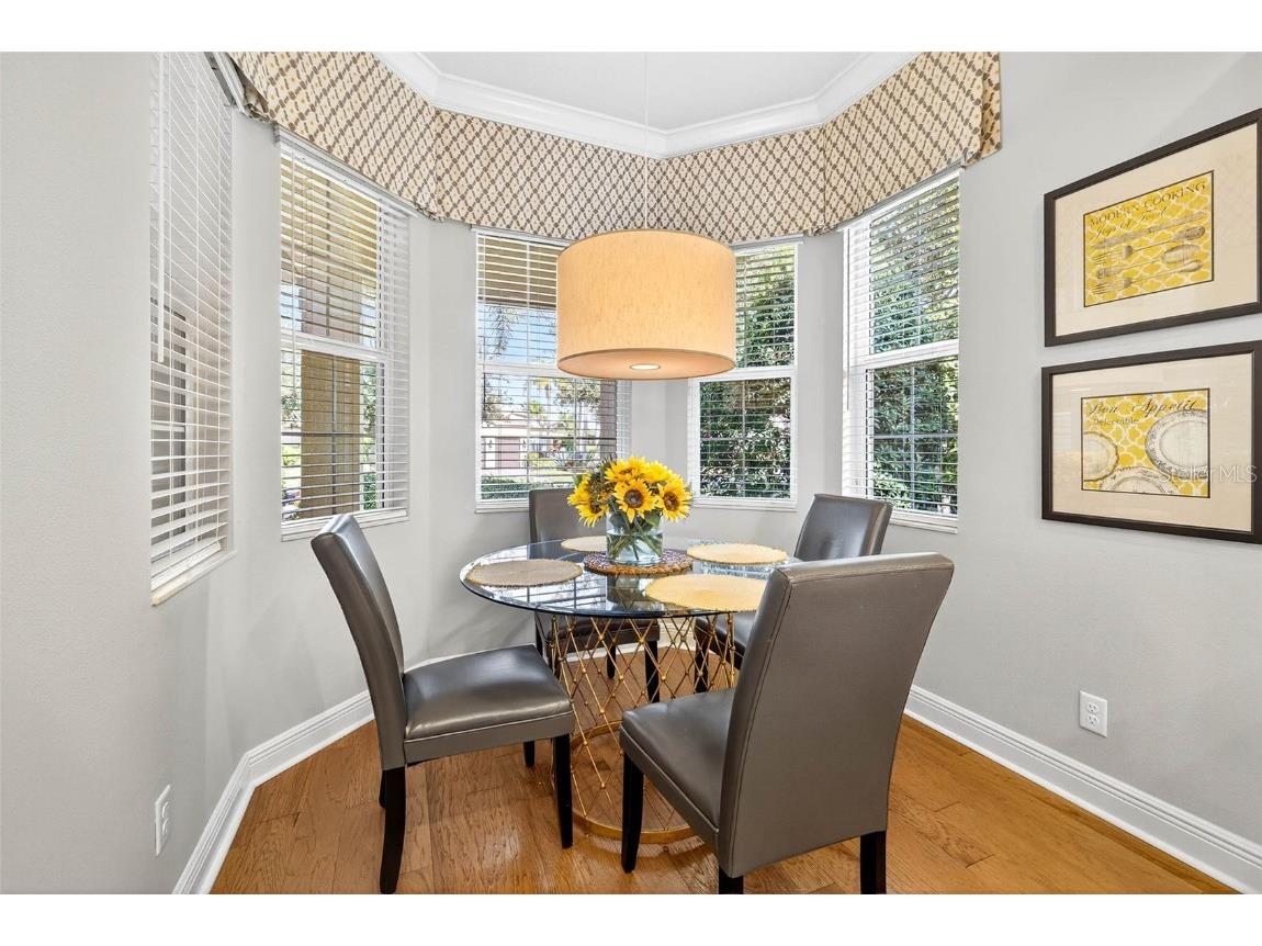 5016 Stone Harbor Circle Wimauma FL 33598 TB8447690 image14