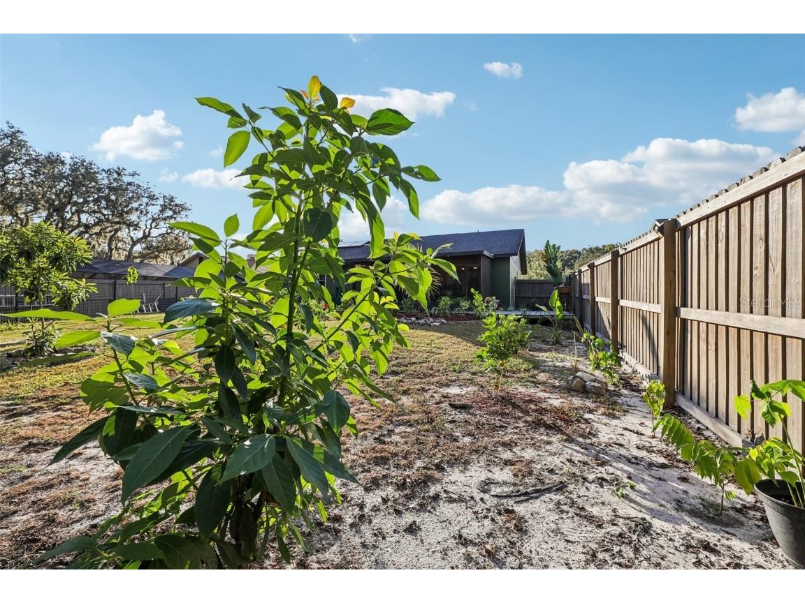 5016 Swallow Drive Land O Lakes FL 34639 TB8446502 image49