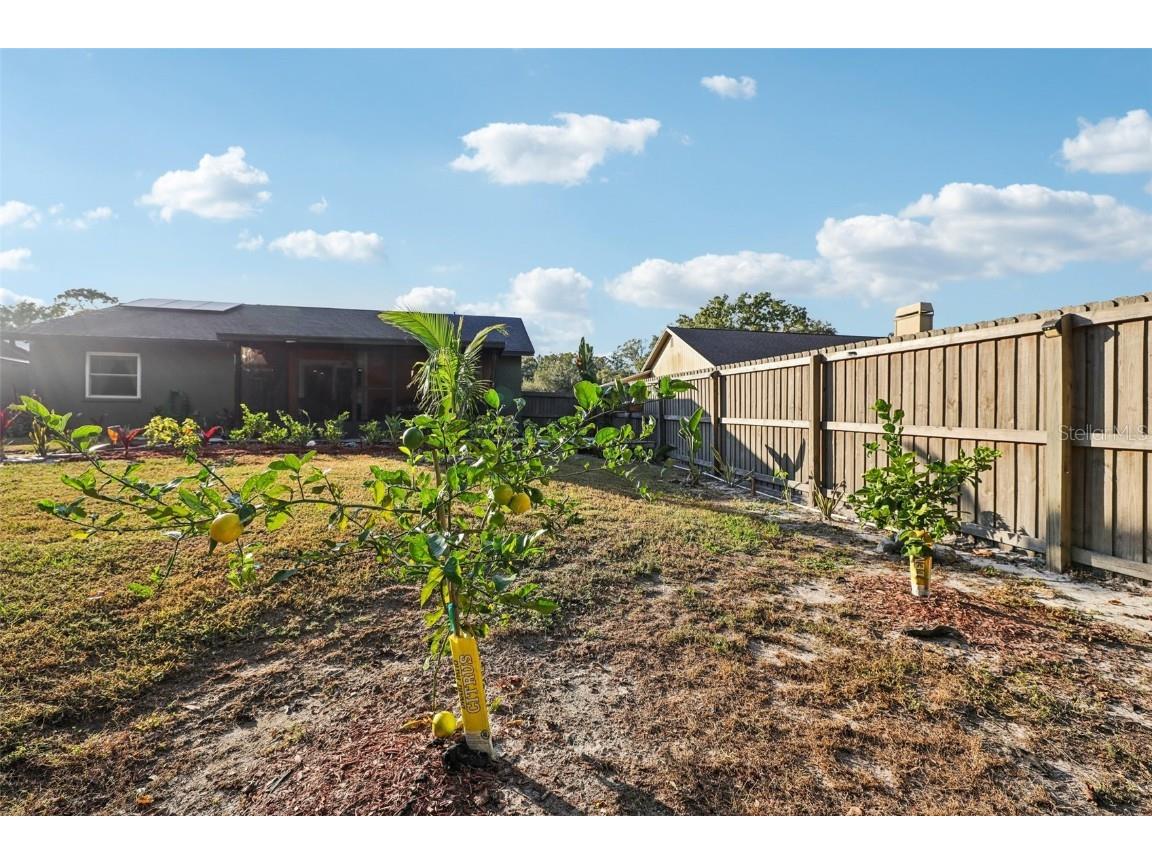 5016 Swallow Drive Land O Lakes FL 34639 TB8446502 image50