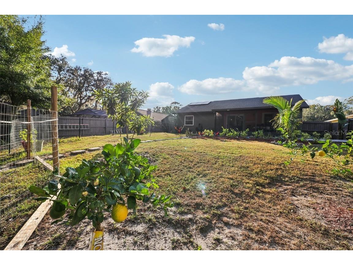 5016 Swallow Drive Land O Lakes FL 34639 TB8446502 image51