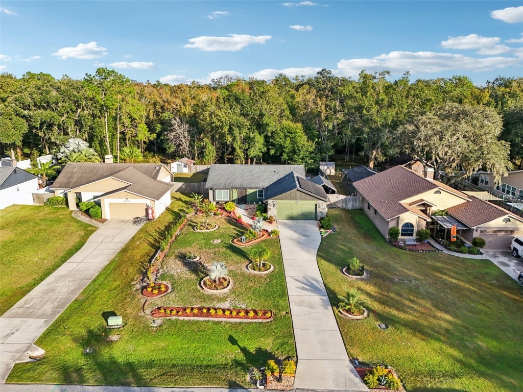 5016 Swallow Drive Land O Lakes FL 34639 TB8446502 image55