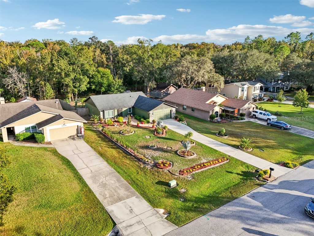 5016 Swallow Drive Land O Lakes FL 34639 TB8446502 image56