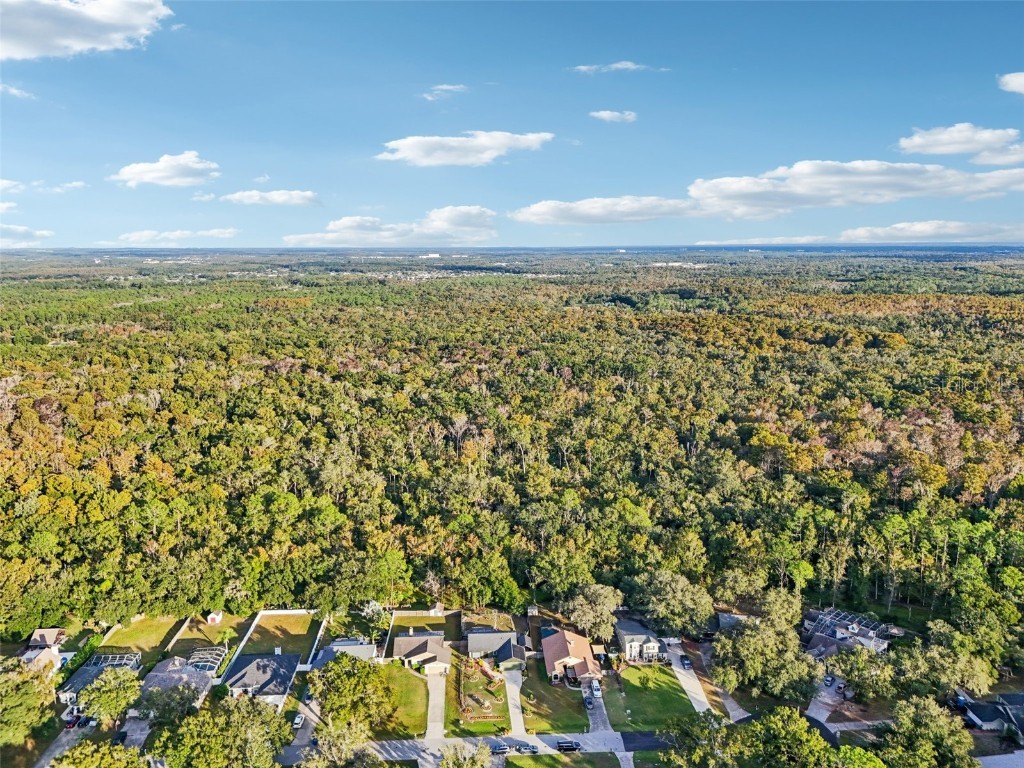 5016 Swallow Drive Land O Lakes FL 34639 TB8446502 image58