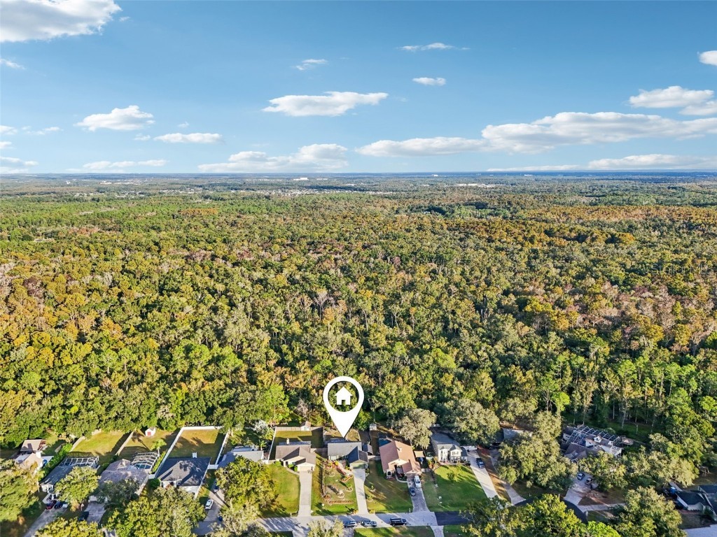 5016 Swallow Drive Land O Lakes FL 34639 TB8446502 image59