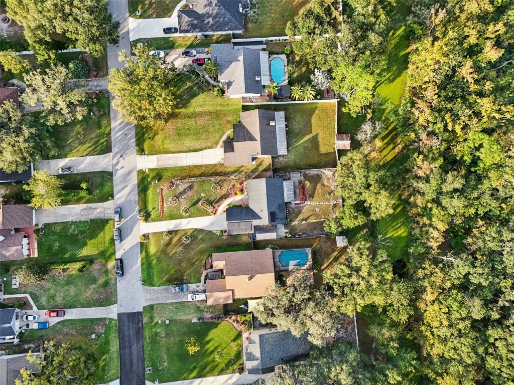 5016 Swallow Drive Land O Lakes FL 34639 TB8446502 image60