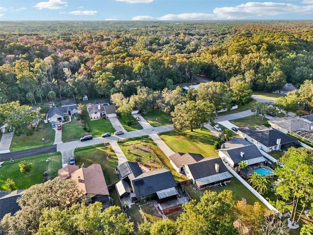 5016 Swallow Drive Land O Lakes FL 34639 TB8446502 image65