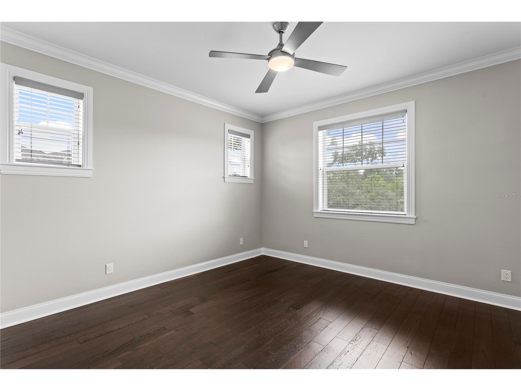 5016 W Evelyn Drive Tampa FL 33609 TB8530834 image55