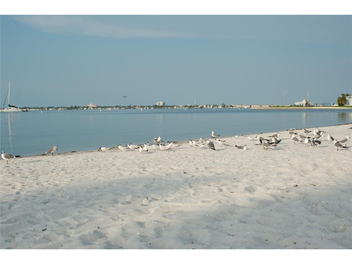 5017 9th Avenue S Gulfport FL 33707 TB8414989 image54