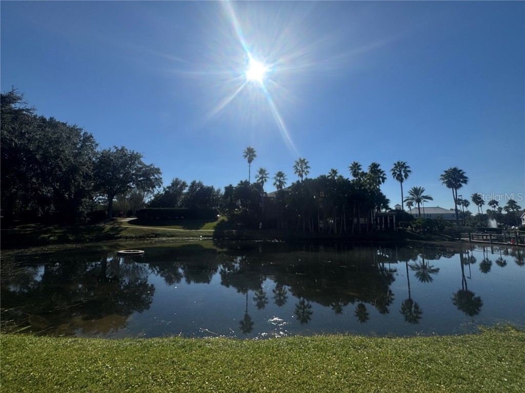 5017 City Street #1923 Orlando FL 32839 O6361724 image36