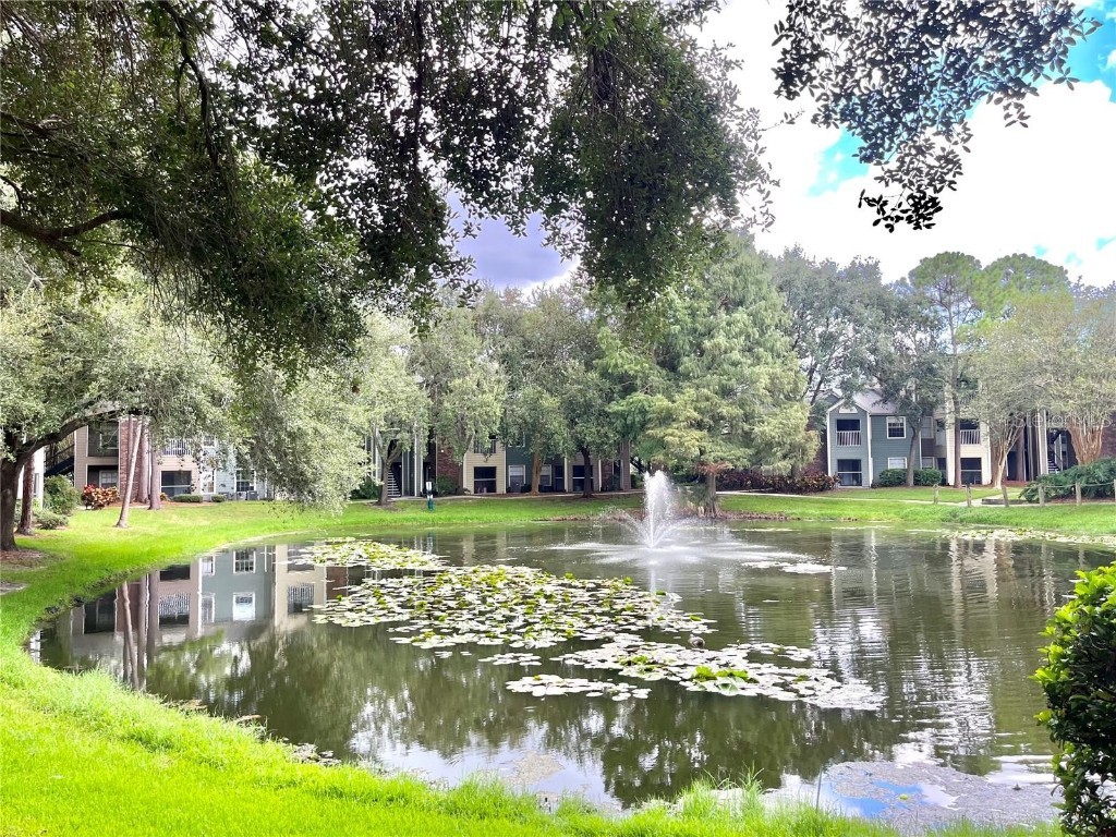 5017 City Street #1938 Orlando FL 32839 S5130031 image48