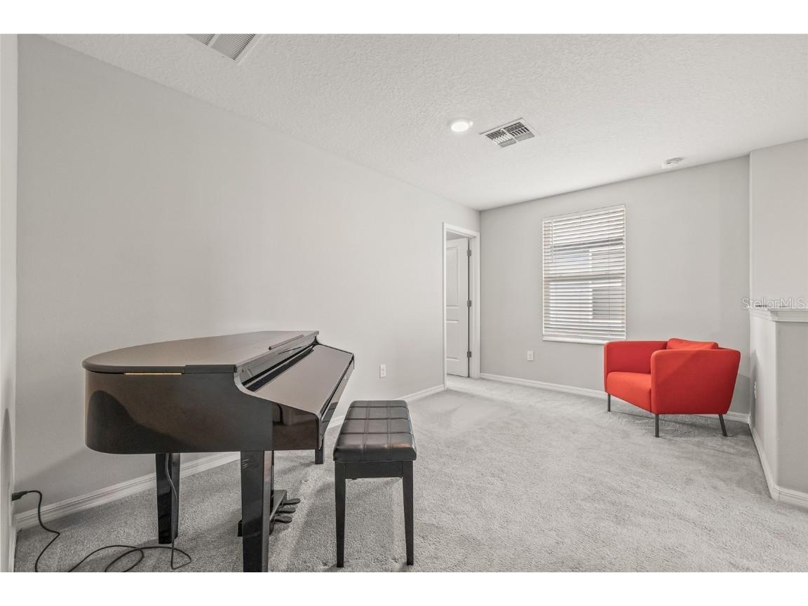 5017 Golden Fig Lane Wimauma FL 33598 TB8422864 image16